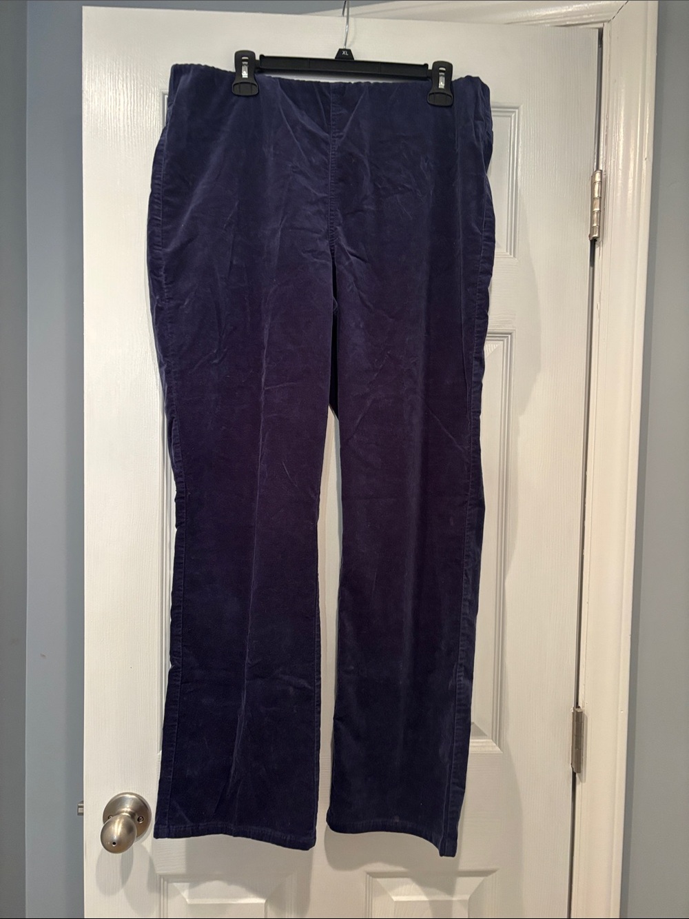 d&co Signature Straight-Leg velour Pants in Deep Navy